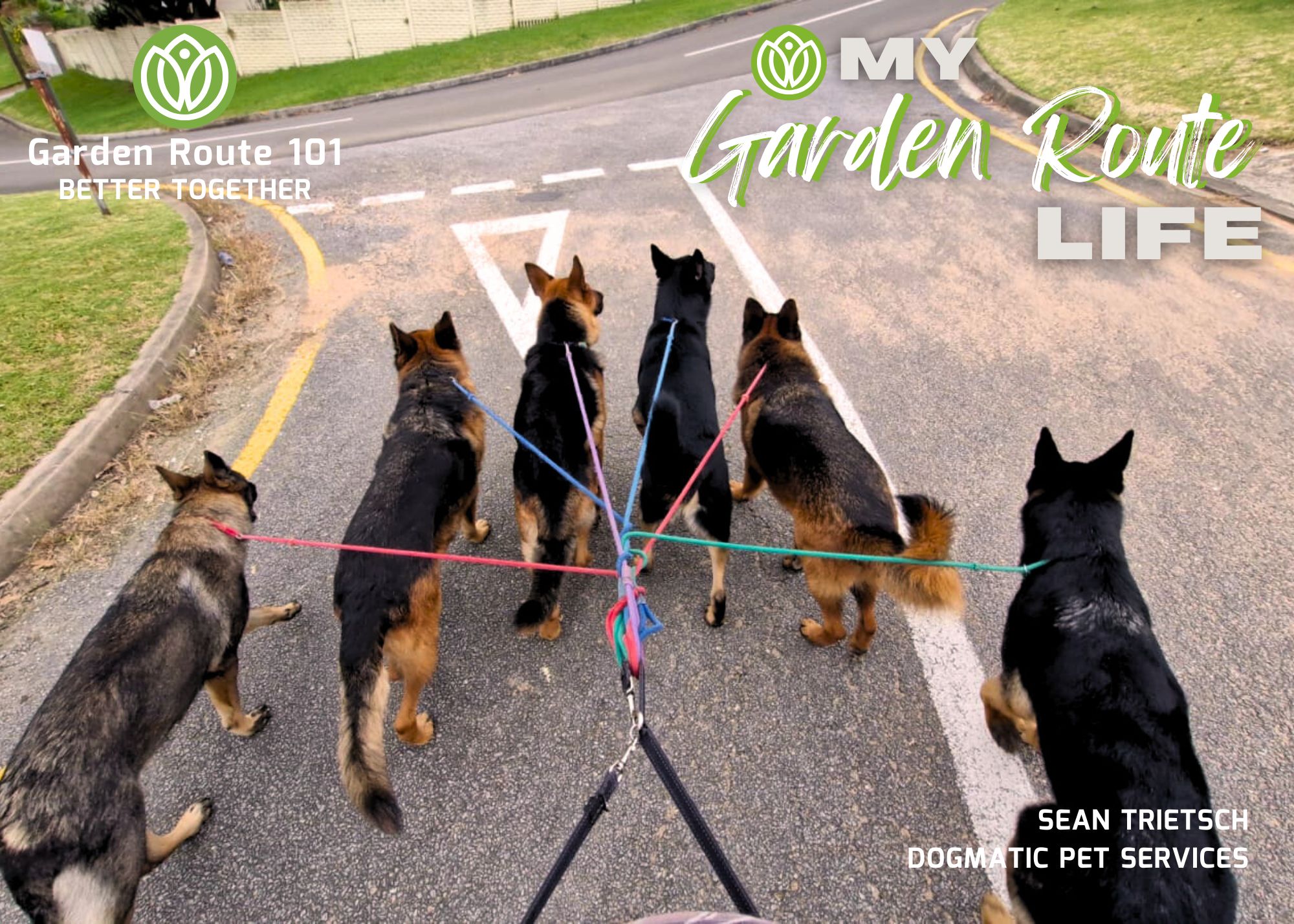 It's a Dog's Life with Sean Trietsch  from Dogmatic Pet Services