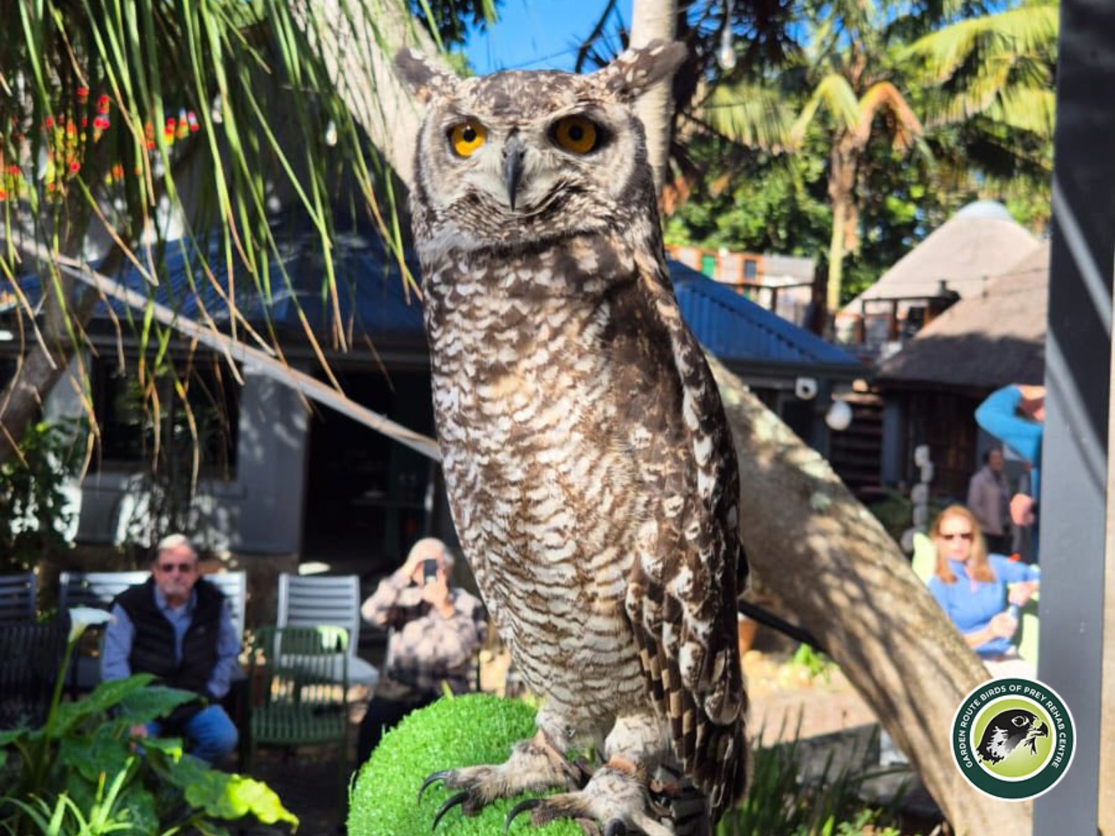 Garden Route Birds of Prey is located in George