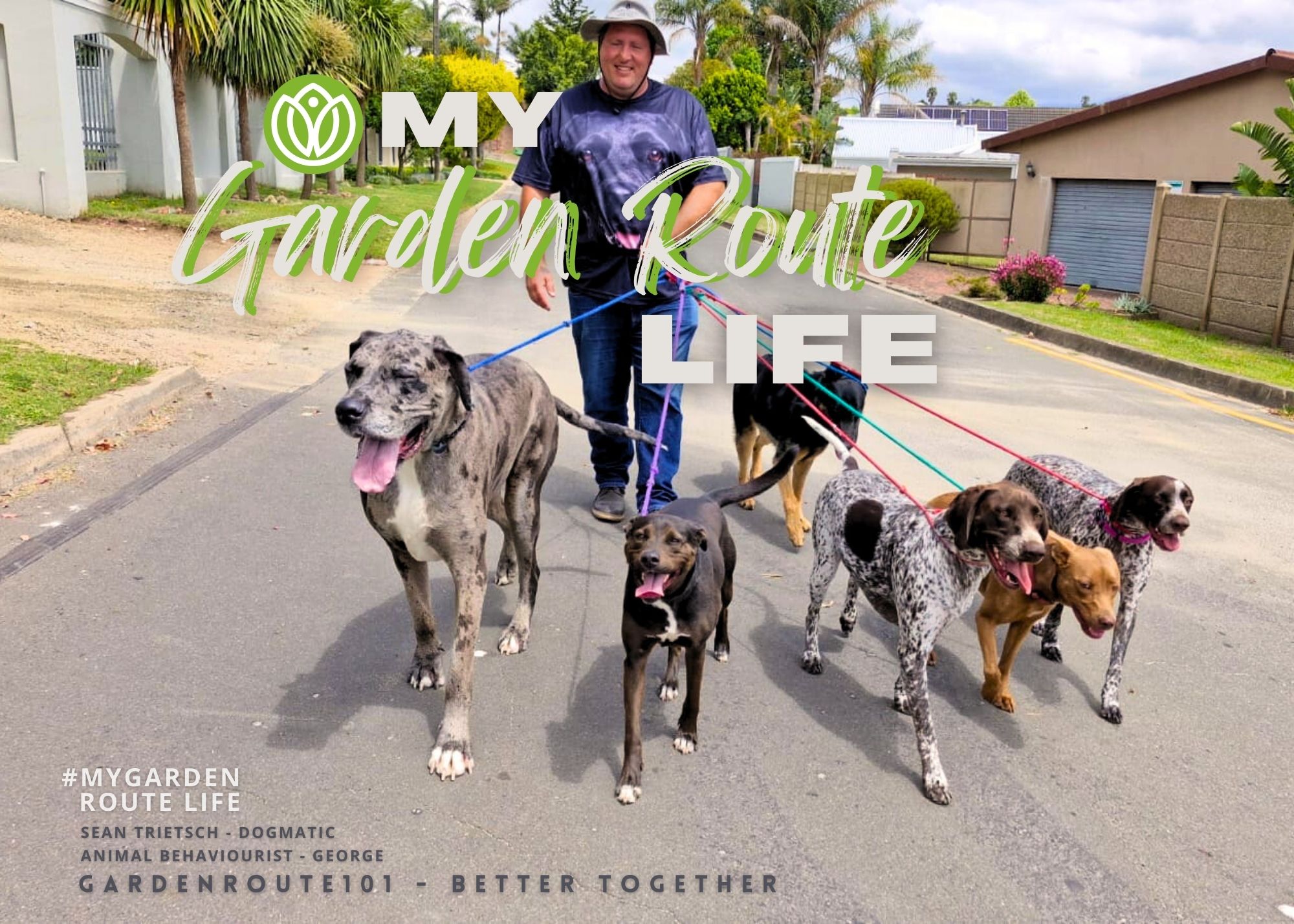 Sean Trietsch - Who let the Dogs out! Dogmatic Pet Services