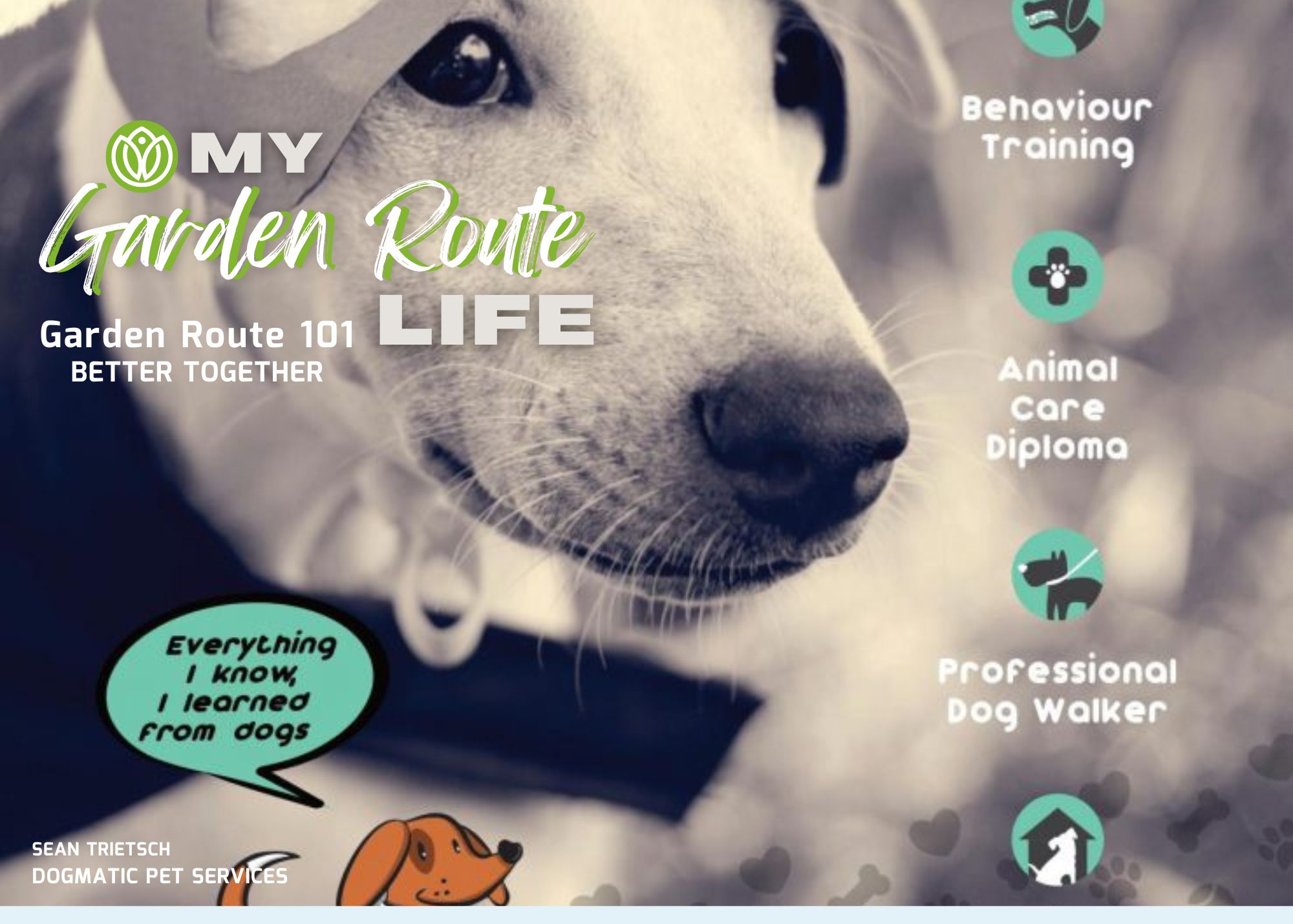 It's a Dog's Life with Sean Trietsch  from Dogmatic Pet Services