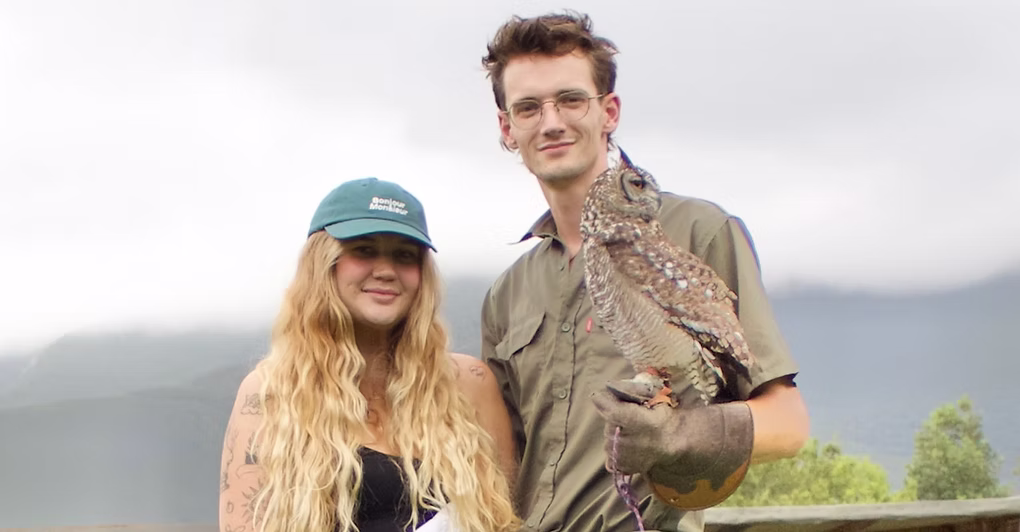 Garden Route Birds of Prey is located in George